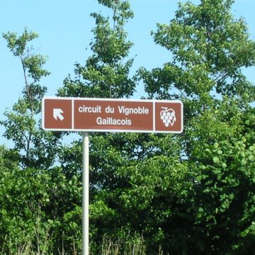 Circuit du vignoble Gaillacois